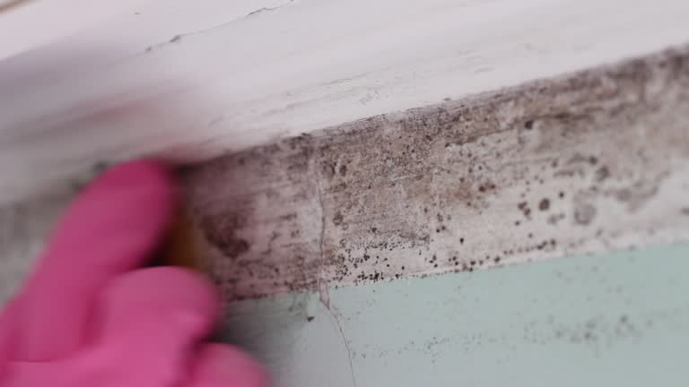 Best Commercial Mold Inspection  in Oakmont, PA